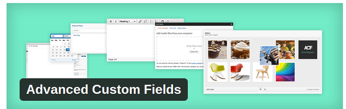 Advanced Custom Fields WordPress Plugin